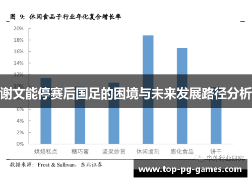 谢文能停赛后国足的困境与未来发展路径分析