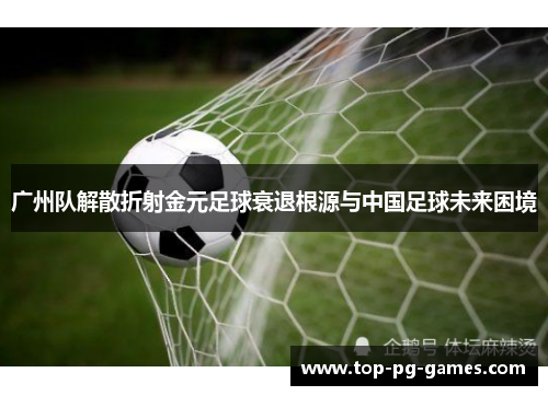 广州队解散折射金元足球衰退根源与中国足球未来困境